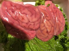 猪脑-海底捞大排档火锅(悦荟广场店)