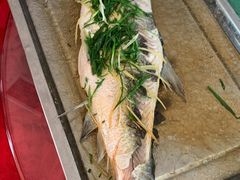 蒸和顺鱼-亚荣河鲜