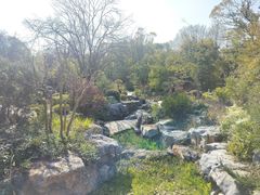 -东湖落雁景区