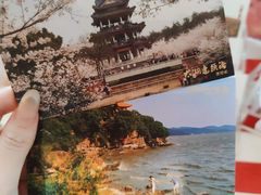 -中国电信(人民路营业厅)