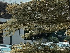 -来回·咖啡(钟村咖啡豆店)