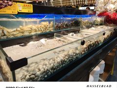 -苏格里岛自助烤肉海鲜火锅(成都金牛万达店)
