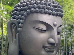 -杭州植物园