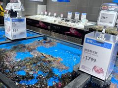 水产区-盒马鲜生(双清路店)