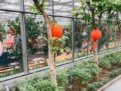 -呀路古热带植物园
