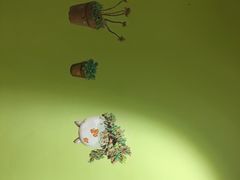 -符淼淼火锅(宽窄巷子店)
