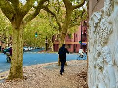 -一尺花园(安和花园店)