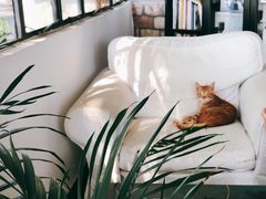 -NOTOOCAFE不二咖啡馆(岩前店)