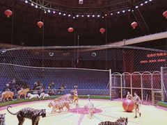 -西安秦岭野生动物园