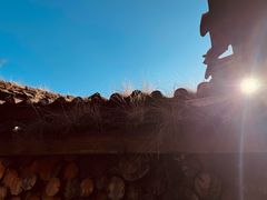 -田德能咖啡博物馆