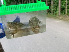 -前小桔亲子创意农场·草莓采摘·露营烧烤