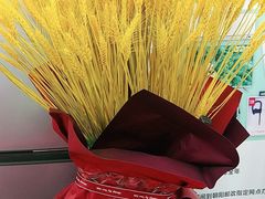 -北京国际邮局邮件处理中心