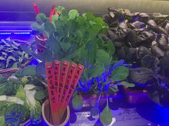 -魏铭鱼头捞饭(晋阳路店)