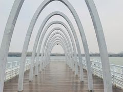 -大兴滨河森林公园