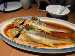 油泼黄花鱼-波螺油子青岛本帮菜(银座店)