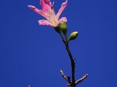 -二沙岛艺术公园