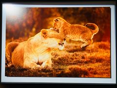 -罗红摄影艺术馆