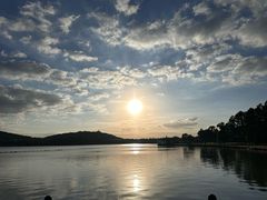 -上海月湖雕塑公园