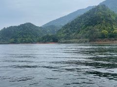 -千岛湖东南湖区