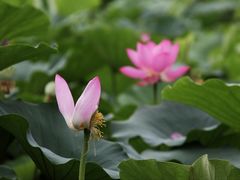 -大兴滨河森林公园