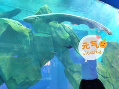 -石家庄海洋公园