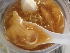 花胶煲仔翅-添發碗仔翅美食