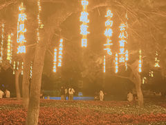 -万泉公园