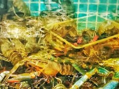 三妹澳洲小龙虾-三妹小龙虾·黄油蟹(华侨城总店)