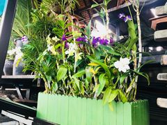 -自然餐厅(Phuket)