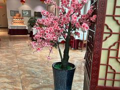 -便宜坊烤鸭店(贵园里店)