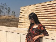 -盘龙城国家考古遗址公园