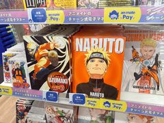 -Animate(秋叶原本馆)