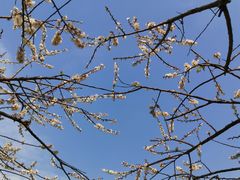 -广州市流溪河国家森林公园