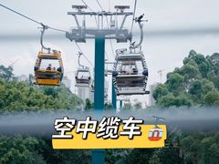 -广州长隆野生动物世界