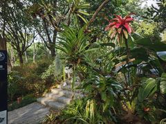-东莞植物园