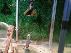 -常州海昌海洋探索馆