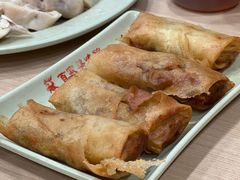 咖喱肉沫春卷-百家鸡味馆(清泰店)