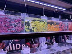 -中环花鸟鱼虫市场