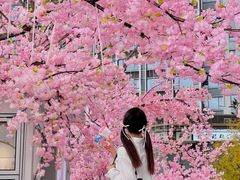 -首开·龙湖成都西宸天街