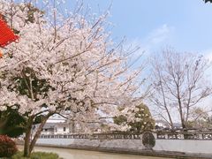 -川沙古镇-停车场