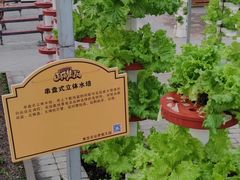 -北戴河集发农业梦想王国