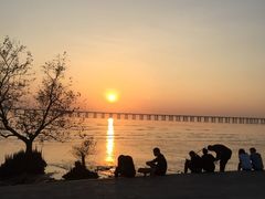 -宝安西湾红树林湿地公园