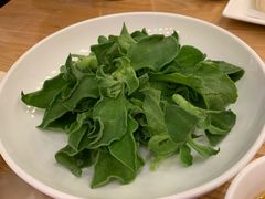 爽口冰菜-九十九顶毡房(阜石路店)