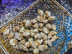 -大东海海鲜酒楼(渔人码头总店)