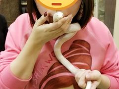 -藦茜花园宠物主题亲子互动体验馆(国顺东路店)