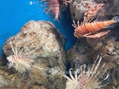 -福州罗源湾海洋世界旅游区