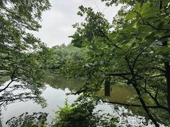 -无染寺