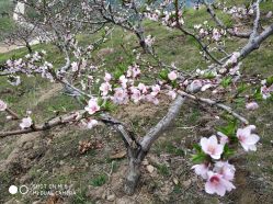 -碧玺沙灸美容美体养生馆