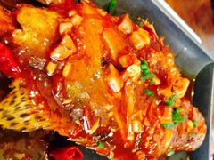 同庆楼-同庆楼(大钟寺店)