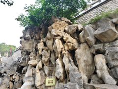 -环城公园